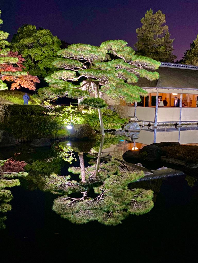昭和記念公園のライトアップ写真