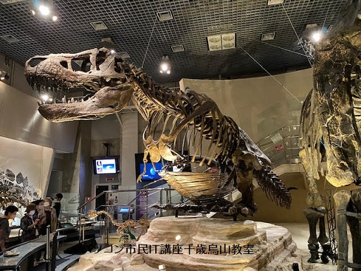 国立科学博物館の展示物「ティラノサウルス」の化石展示物