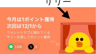 サリー ライン サリー-320x180.jpg