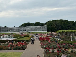 神代植物公園のバラ園