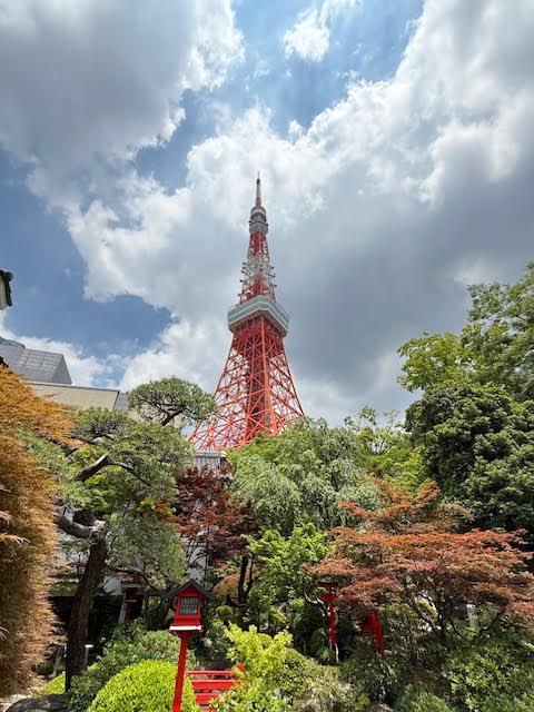 東京タワーの写真